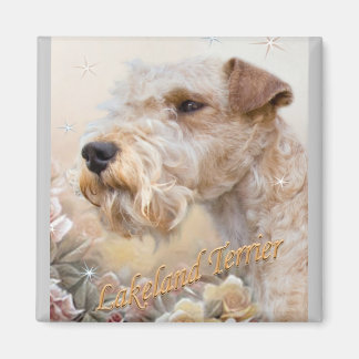 Lakeland Terrier Parmi les aimants Rose