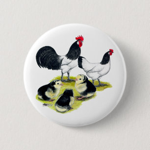 Lakenvelder Chicken Family 2 Inch Round Button