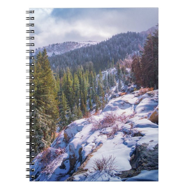 Lakes Basin Hiking Notebook – Sierra Mountains (Front)