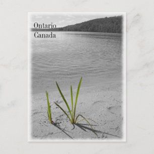 Lakes of Ontario, Canada Postcard Black & White