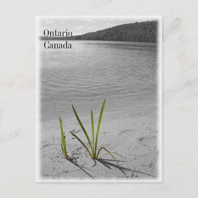 Lakes of Ontario, Canada Postcard Black & White (Front)
