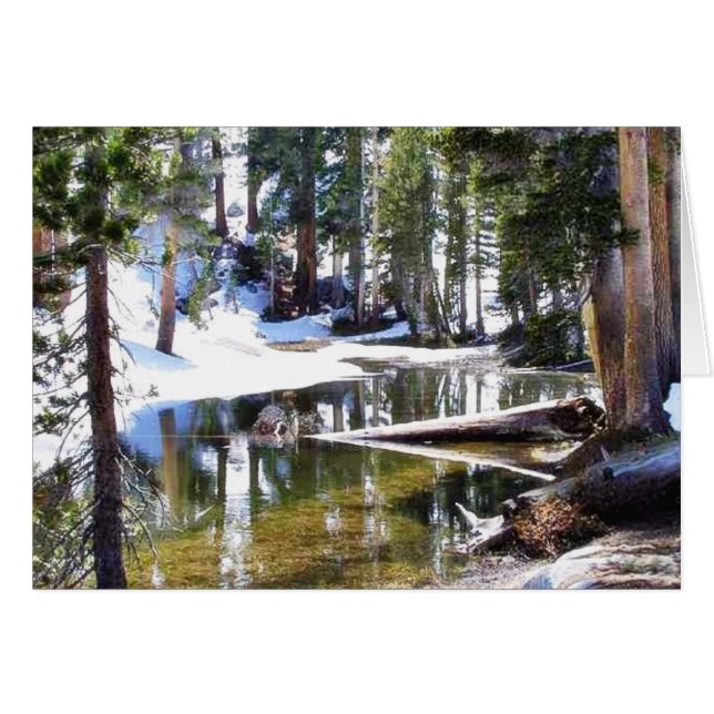 Lakes Trees Forrests (Front Horizontal)