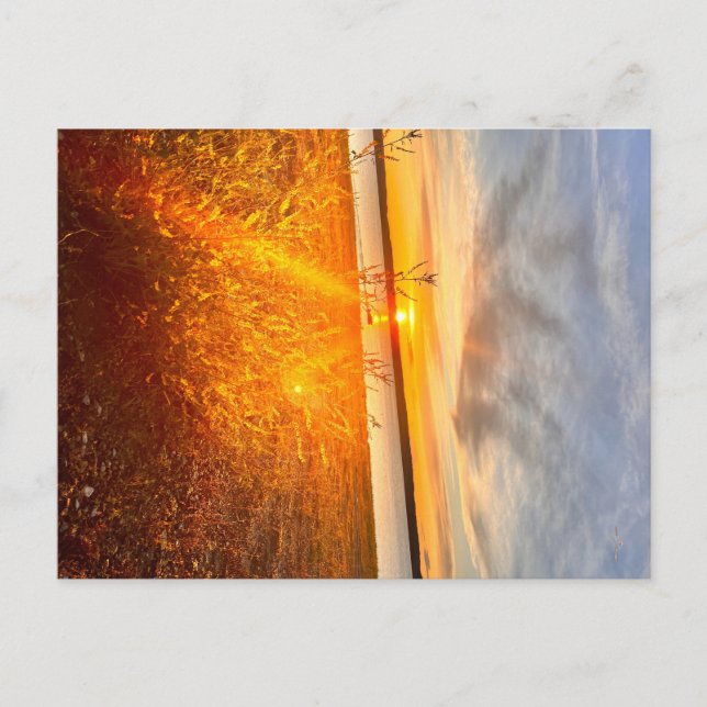 Lakeside Breeze Postcard (Front)