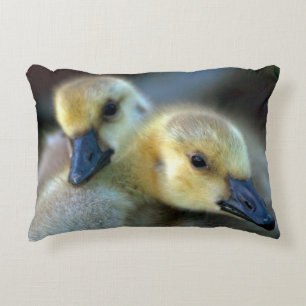 Lakeside Decorative Pillow