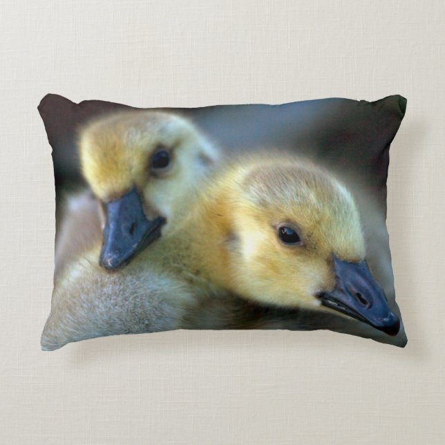 Lakeside Decorative Pillow (Front)