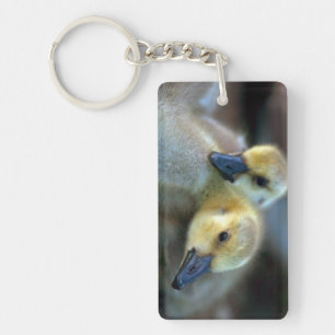 Lakeside Keychain