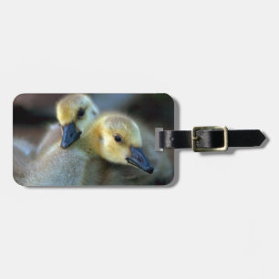 Lakeside Luggage Tag