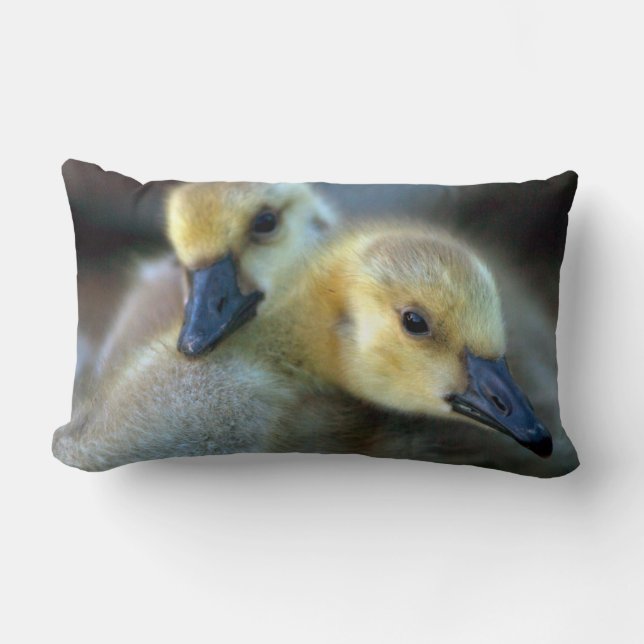 Lakeside Lumbar Pillow (Front)