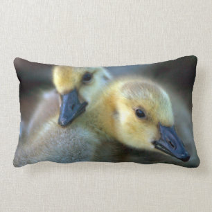 Lakeside Lumbar Pillow