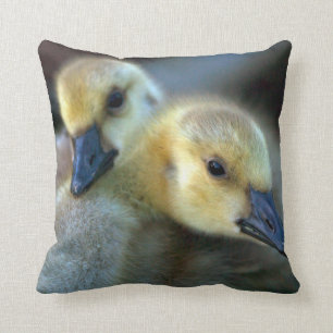 Lakeside Throw Pillow