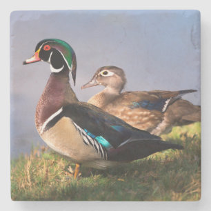 Lakeside, Wood Duck Stone Coaster