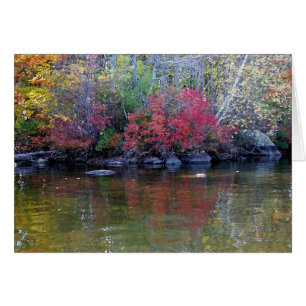 Lakeview