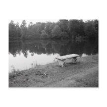 Lakeview View Postcard