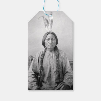Lakota Leader Sitting Bull Native American Indian  Gift Tags