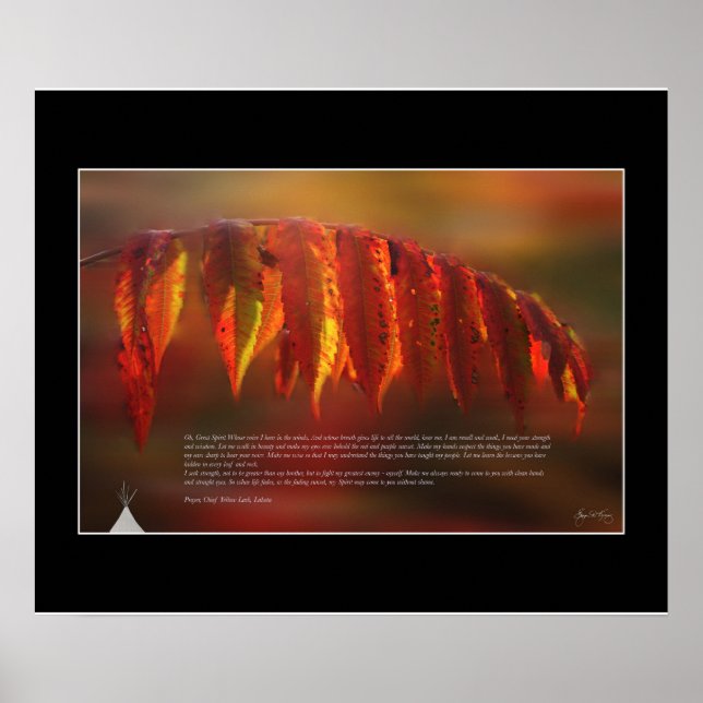 Lakota Prayer Poster (Front)