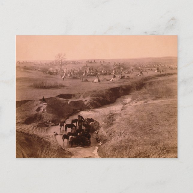 Lakota Tipi Camp Postcard (Front)