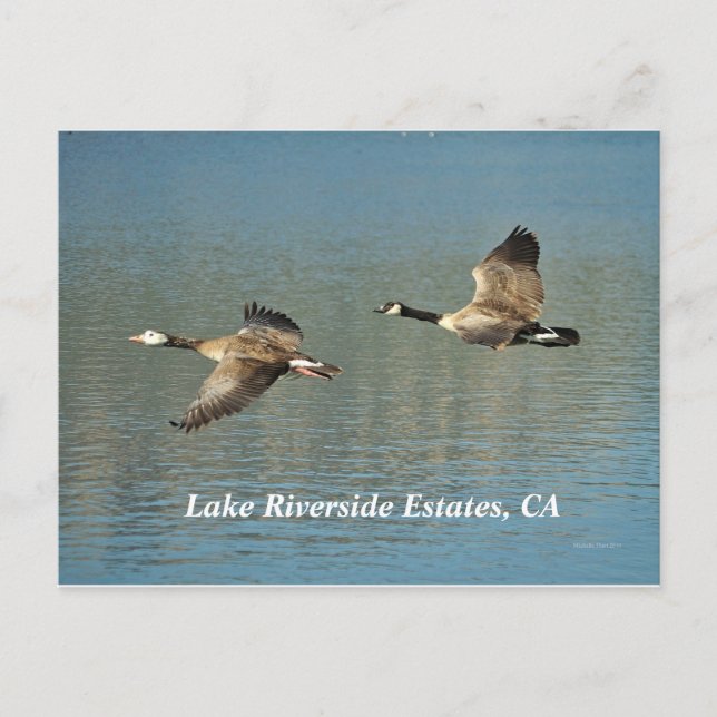 Lakw Riverside Estates, carte postale CA (Devant)