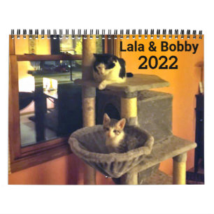 Lala & Bobby 2022 Calendrier Personnalisé Chats
