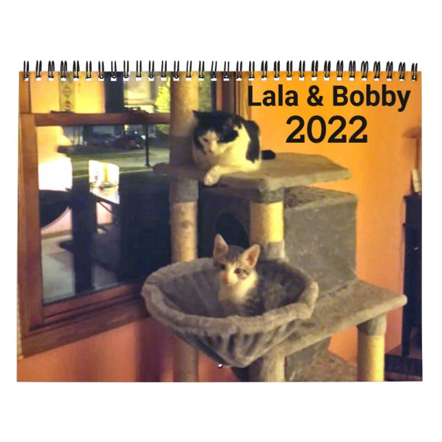 Lala & Bobby 2022 Calendrier Personnalisé Chats (Protection)