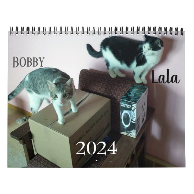 Lala & Bobby Personalized Cat Calendar 2024 (Cover)