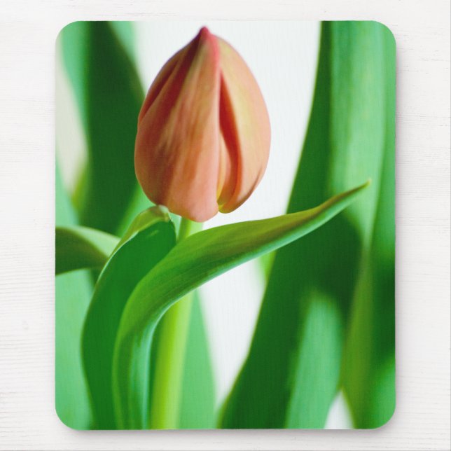 lala Tulip Mousepad (Front)