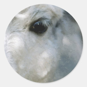 Lama Classic Round Sticker