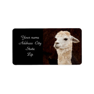 Lama étiquette de adresse