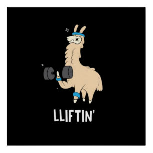 Lama in the gym - lifting weights					 poster