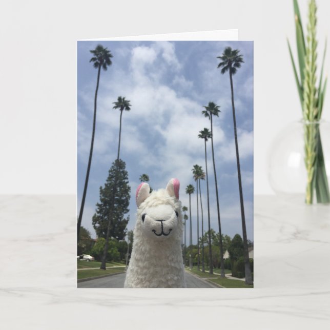 Lama sans la carte de voeux de drame (Devant)