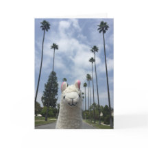 Lama sans la carte de voeux de drame