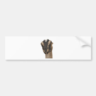 Lamancha Bumper Sticker