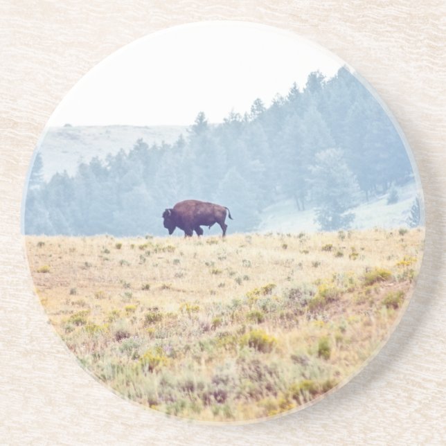 Lamar Coaster (Front)