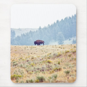 Lamar Mouse Pad
