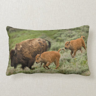 Lamar Valley Mini Stampede Lumbar Pillow