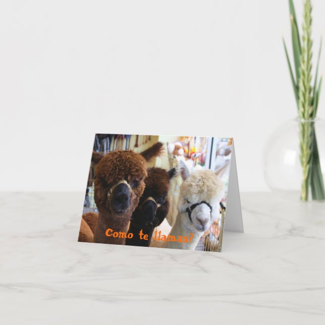 Lamas de te de Como ? Carte pour notes (Devant)