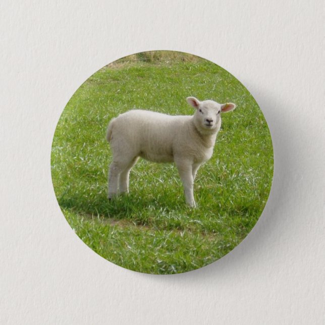Lamb 2 Inch Round Button (Front)