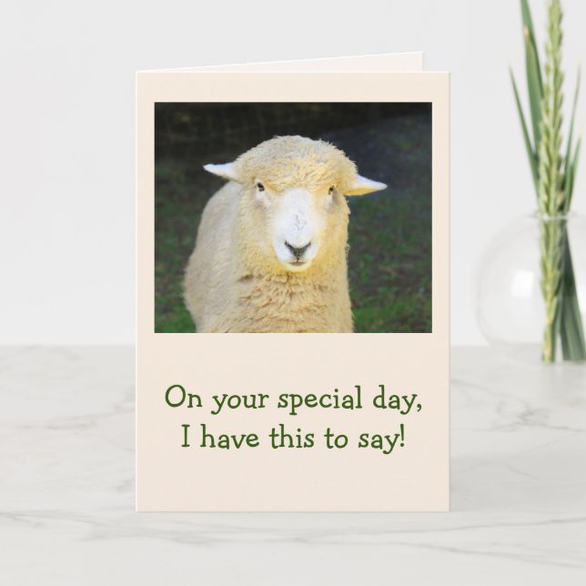 Lamb And Sheep Poetry Birthday Card (Front)