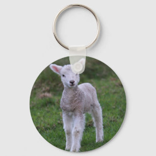 Lamb Baby Sheep Farm Animal Keychain