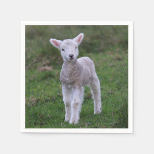 Lamb Baby Sheep Farm Animal Napkin