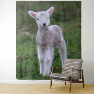 Lamb Baby Sheep Farm Animal Tapestry