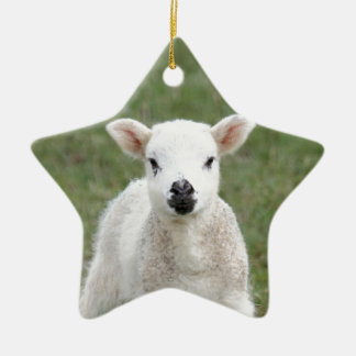 Lamb Ceramic Ornament