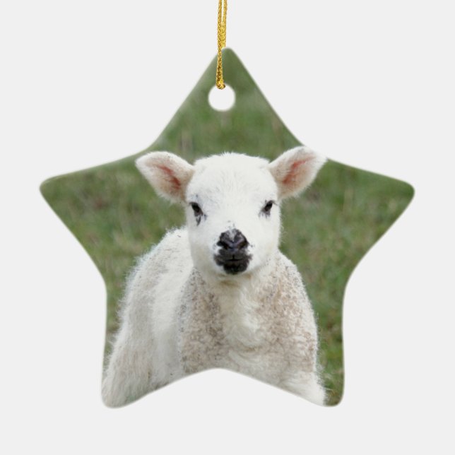 Lamb Ceramic Ornament (Front)