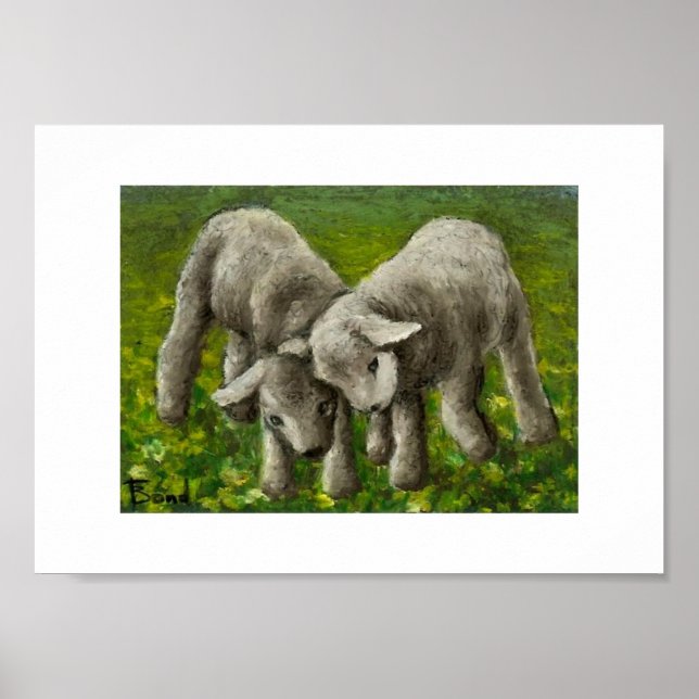 Lamb fight print (Front)