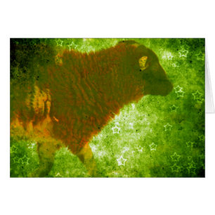 Lamb in a Field of Stars