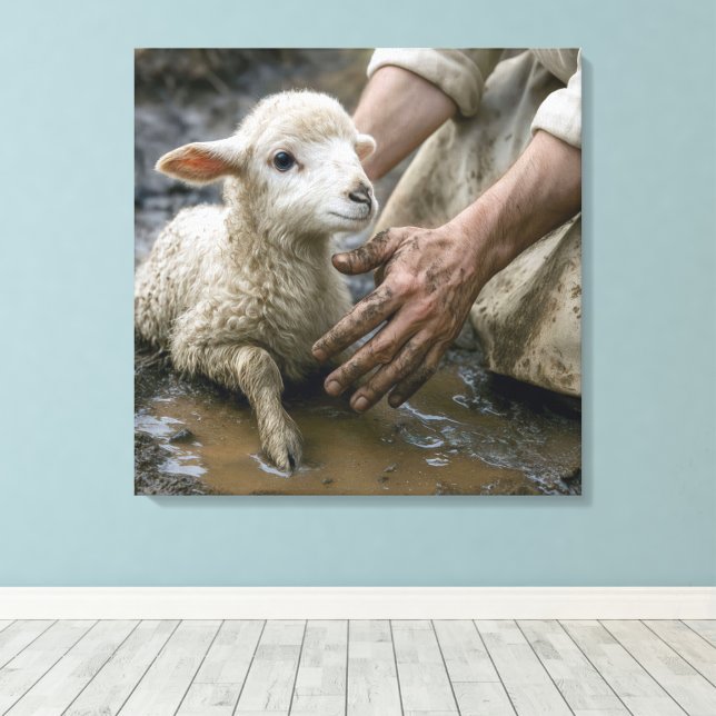 Lamb In Mud Rescued By a Shepherd Canvas Print (Insitu(Wood Floor))