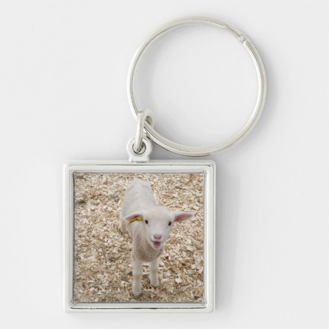 Lamb Keychain (Front)