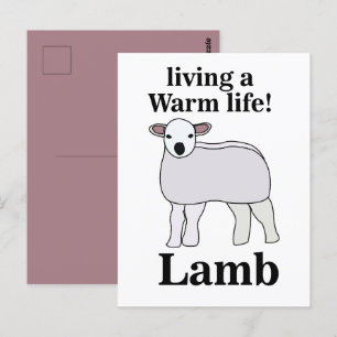 Lamb Living A Warm Life Funny Lamb Postcard