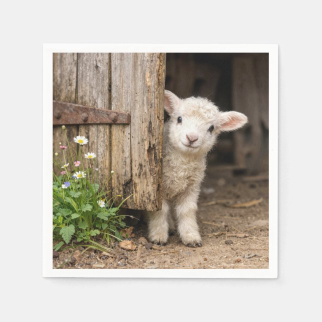 Lamb Peeking around a Barn Door Napkin (Front)