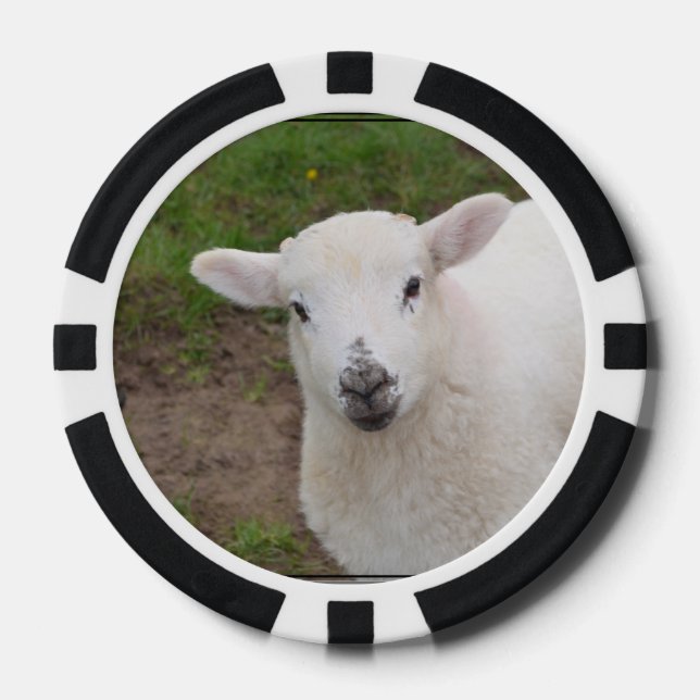 Lamb Poker Chips (Front)