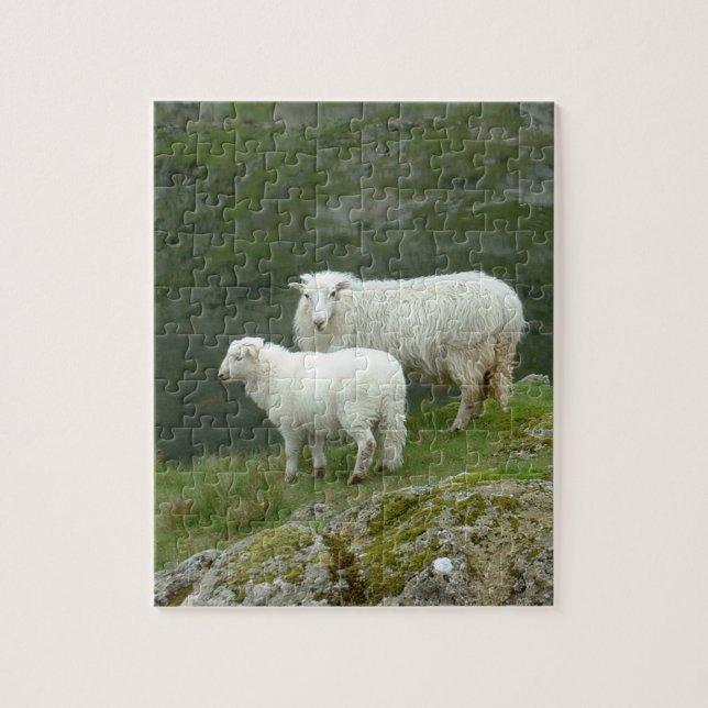 Lamb & Sheep - Scottland/ British Countryside Jigsaw Puzzle (Vertical)